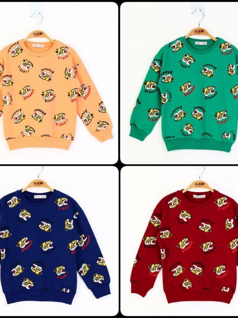 wholesale Boys sweatshirt 13747