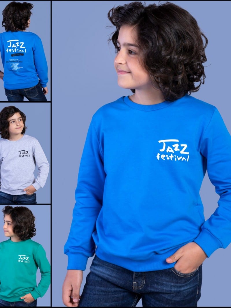 wholesale Boys sweatshirt 13793