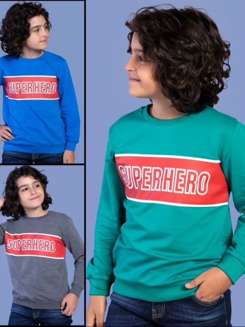 Boy's sweatshirt 13771
