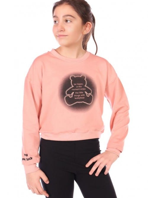 Girl's sweatshirt 22217