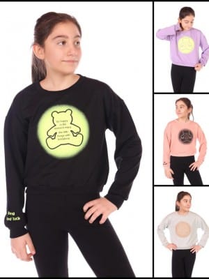 Girl's sweatshirt 22217