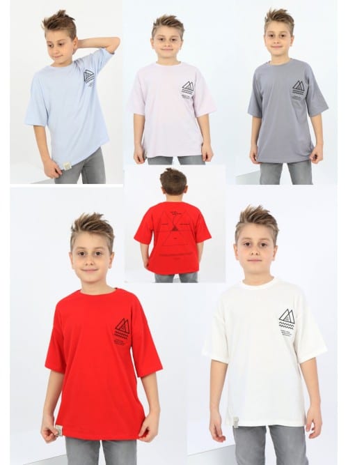 Boy's t-shirt 22183